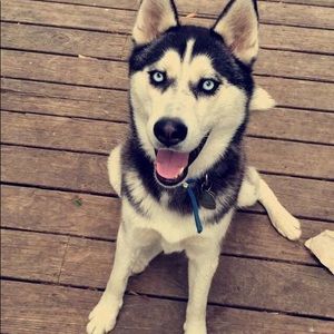 Meet your Posher, Lauryn